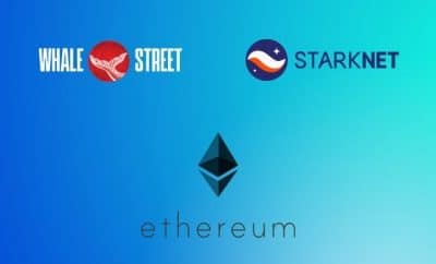 WhaleStreet DAO and StarkNet Collaborate for Gen Art Ecosystem