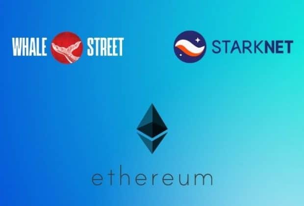 WhaleStreet DAO and StarkNet Collaborate for Gen Art Ecosystem